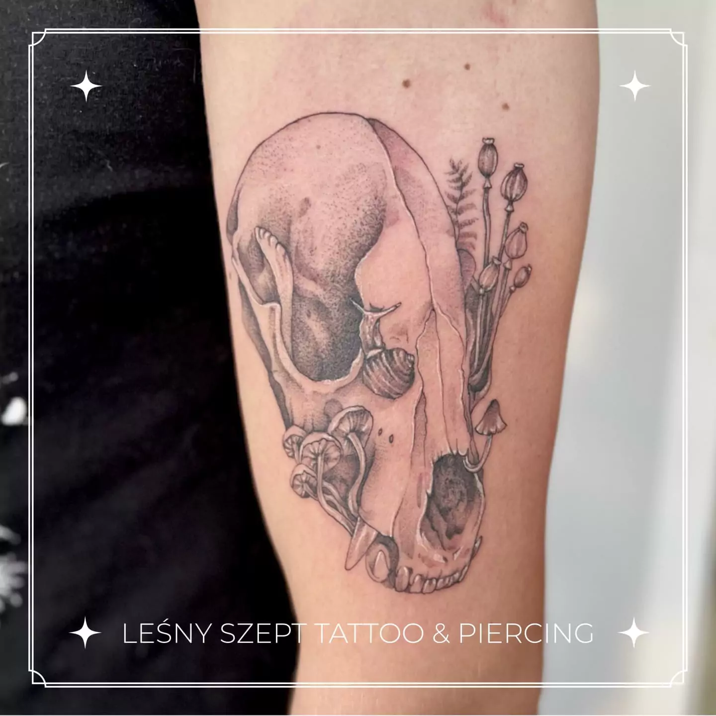 tatuaz czaszka z grzybami